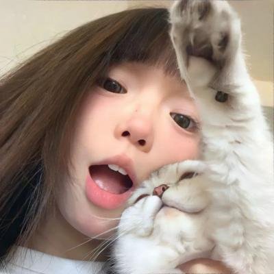 虎 海报